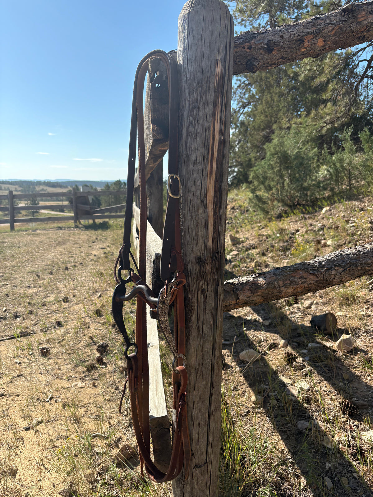 Solid Port Bridle Rig w/ Split Ear Headstall
