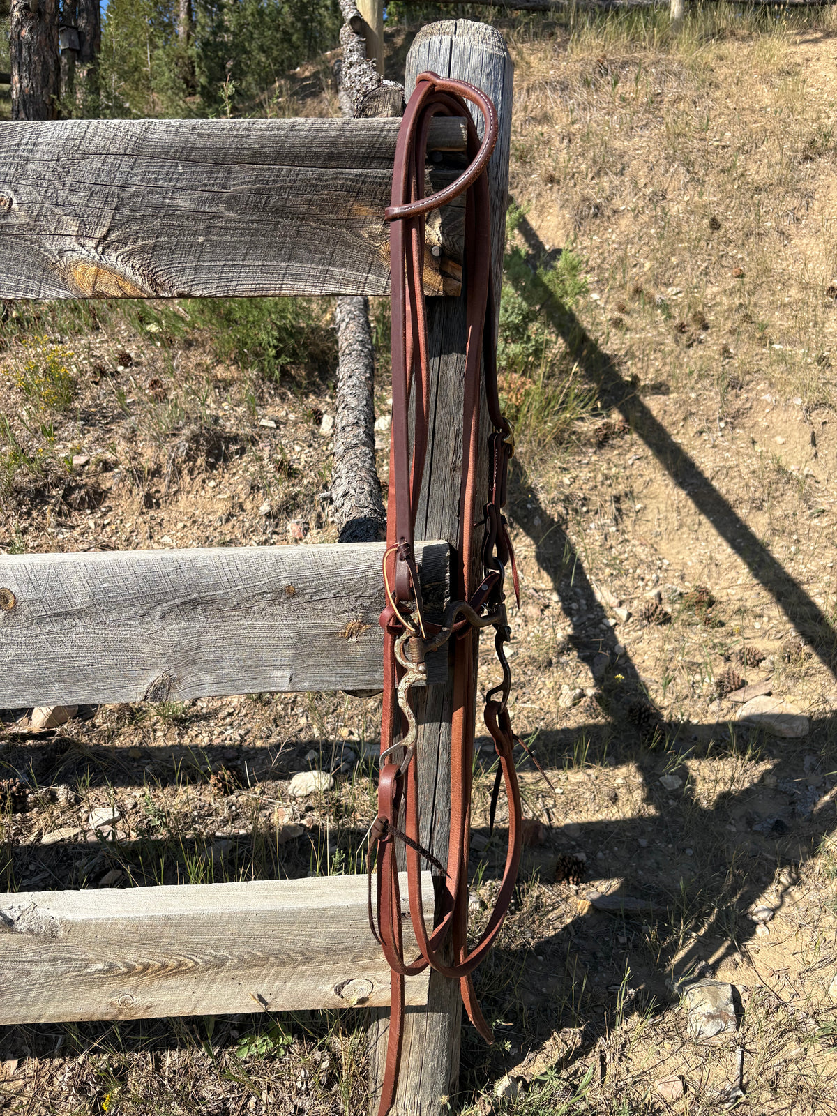 Solid Port Bridle Rig w/ Slide Ear Headstall