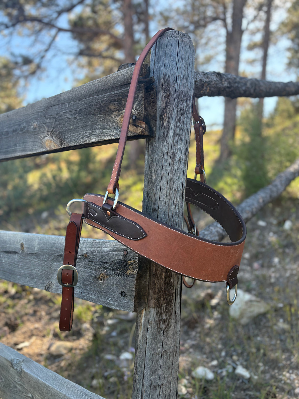 Roughout Tripping Collar w/ Wither Stap