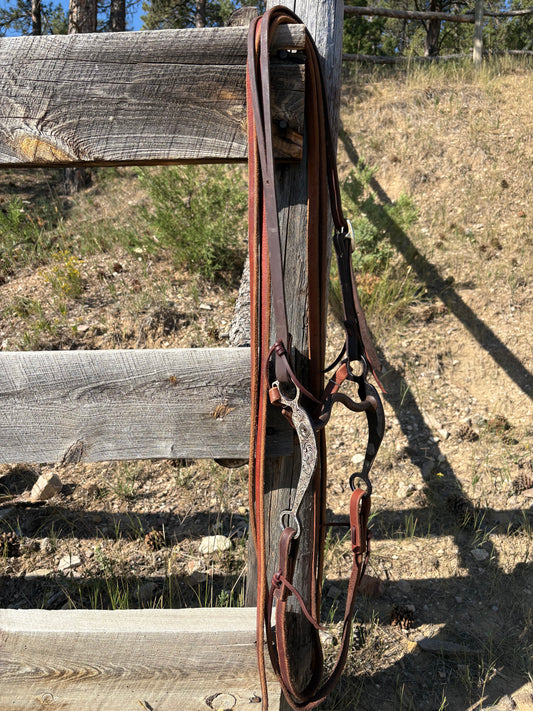 Solid Port Bridle Rig w/ Split Ear Headstall