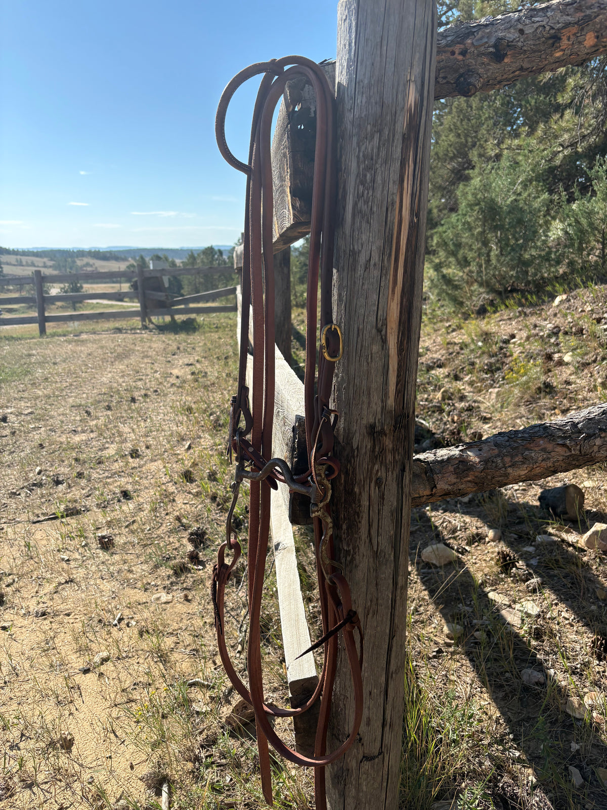 Solid Port Bridle Rig w/ Slide Ear Headstall