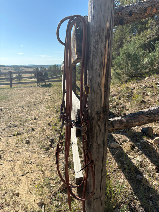 Solid Port Bridle Rig w/ Slide Ear Headstall