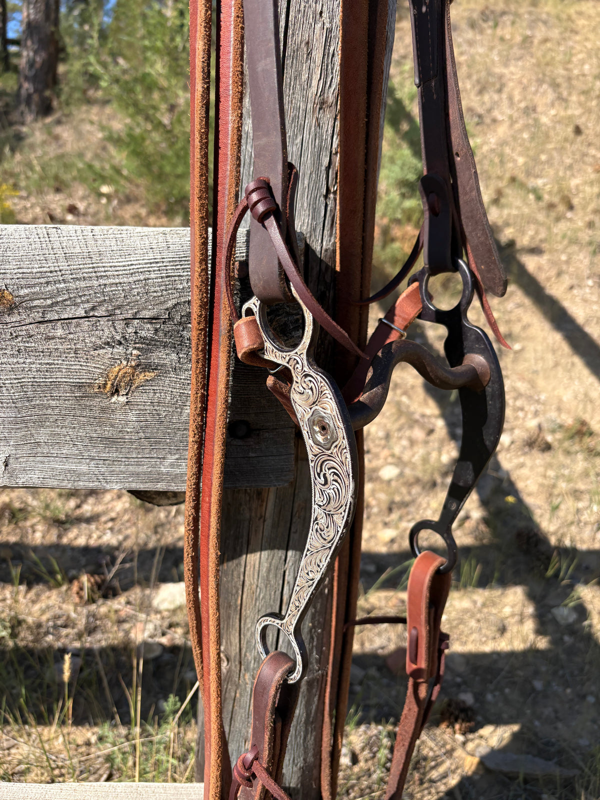 Solid Port Bridle Rig w/ Split Ear Headstall