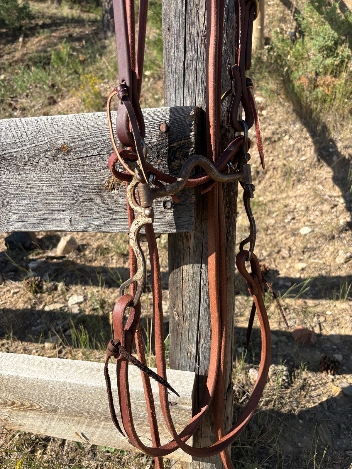 Solid Port Bridle Rig w/ Slide Ear Headstall