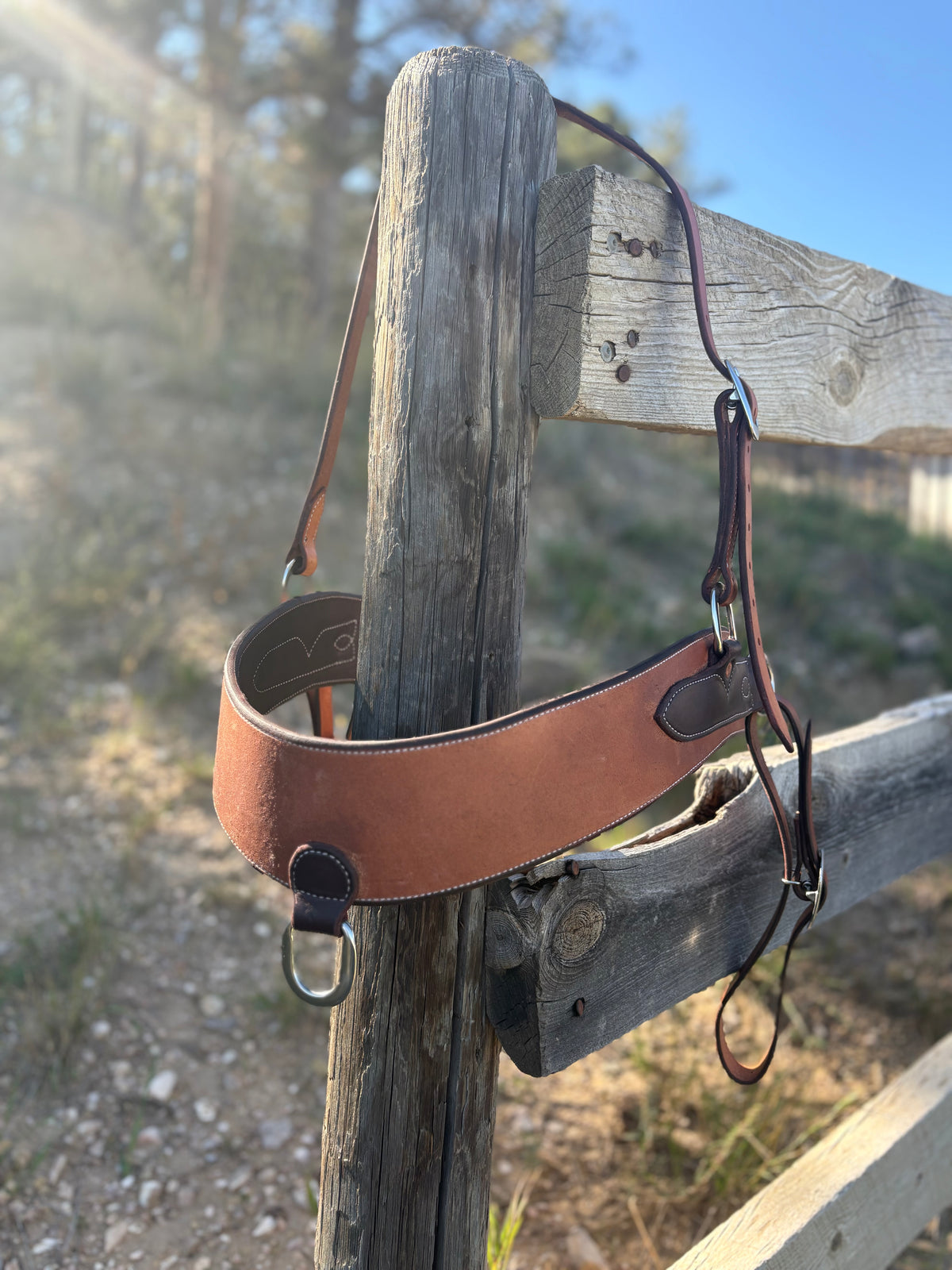 Roughout Tripping Collar w/ Wither Stap