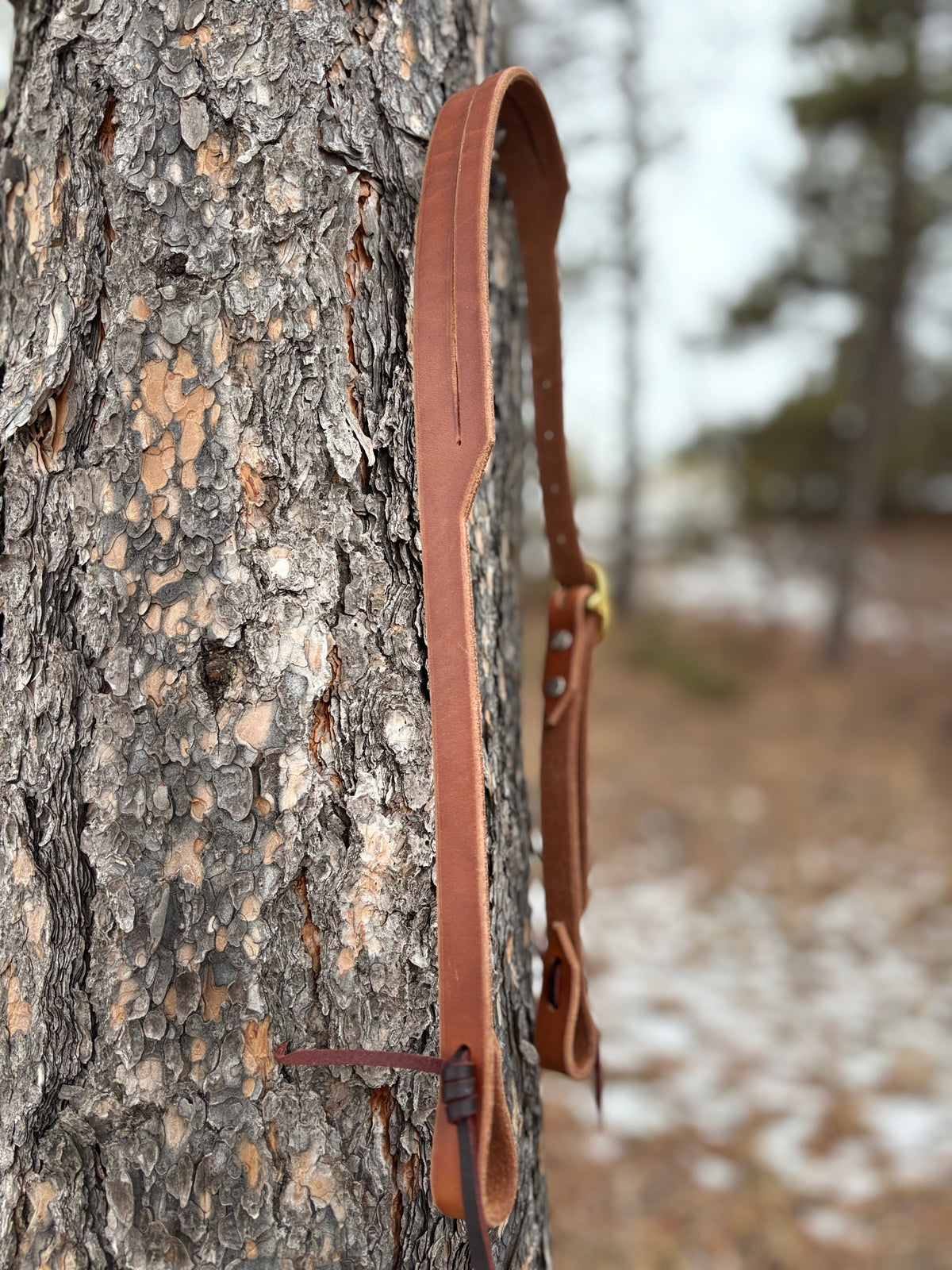Harness Leather Split Ear Headstall w/ Brass Buckle